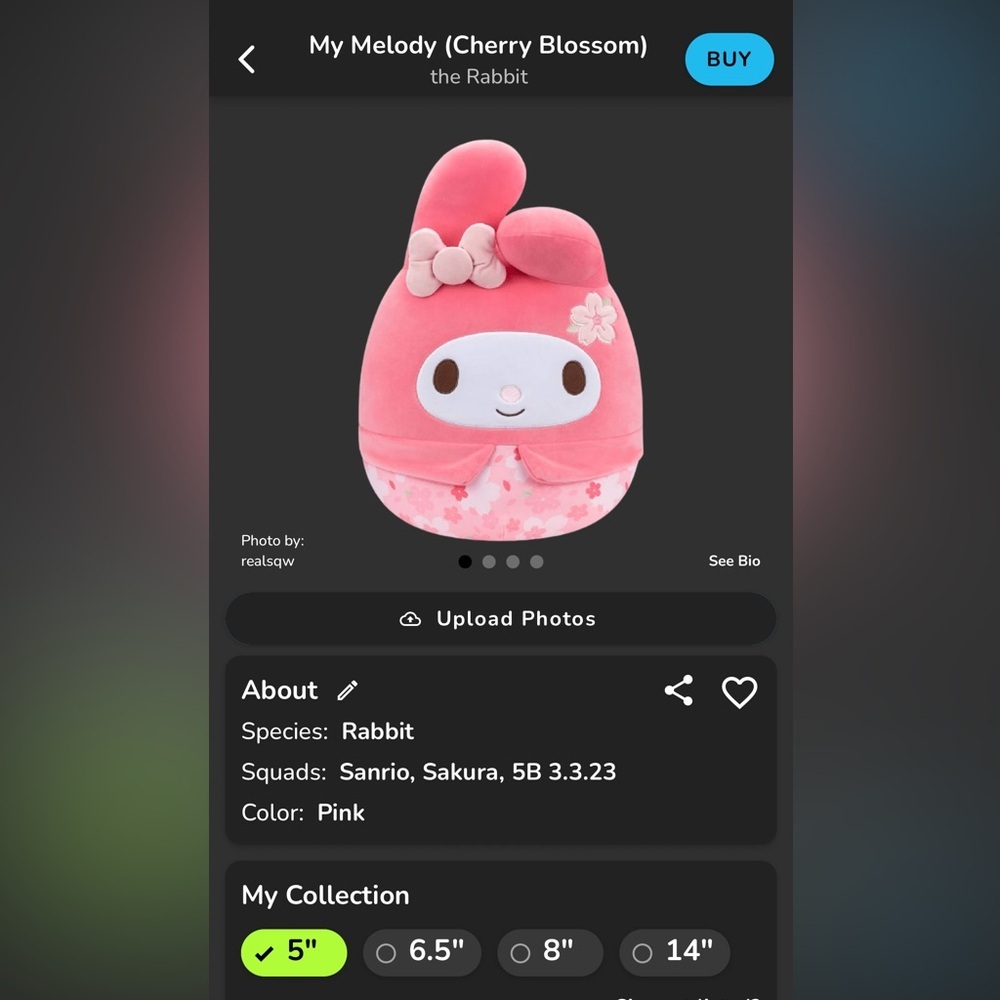 BNWT: 5” My Melody (Cherry Blossom) Squishmallow - Picture 10 of 10